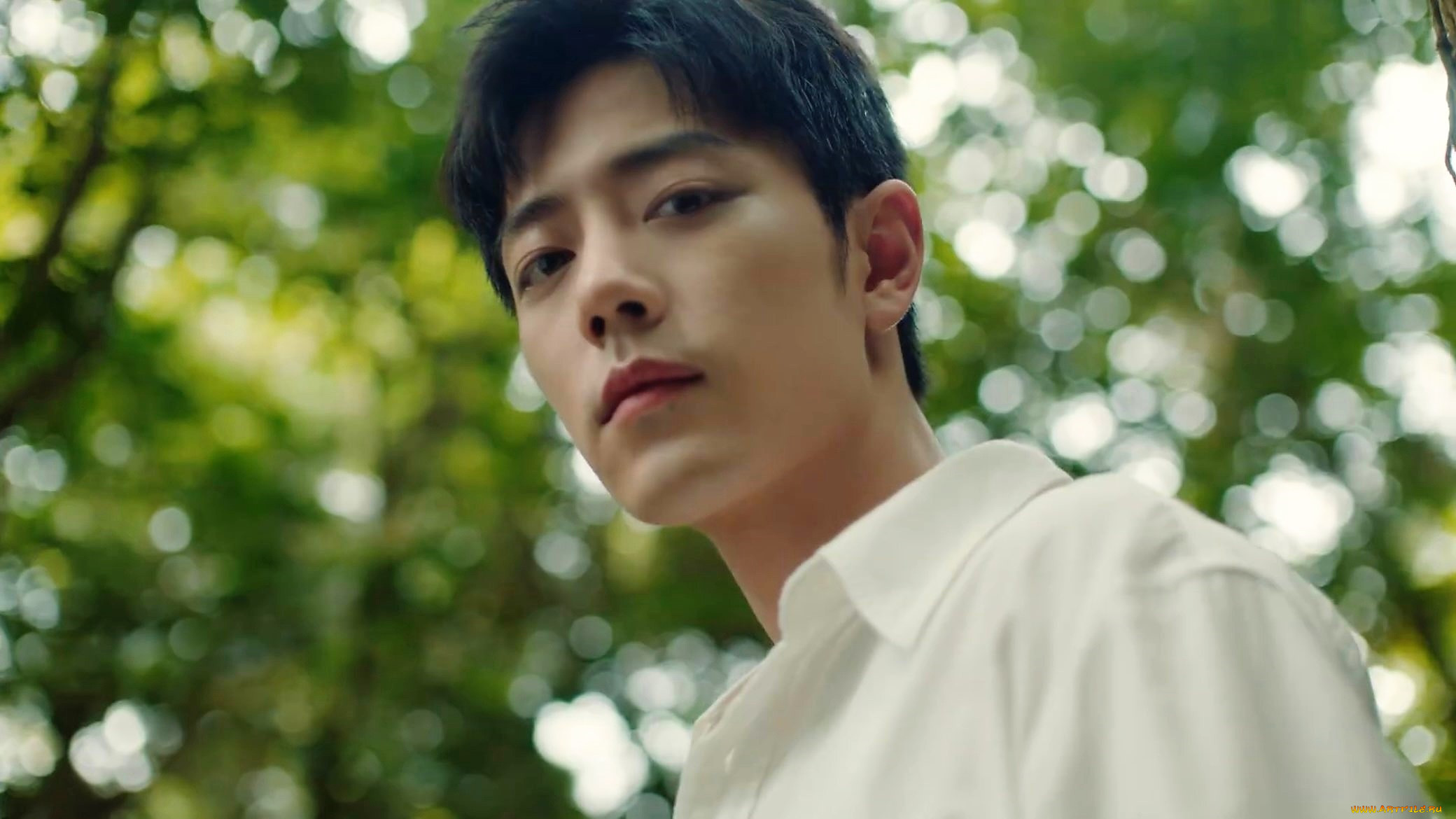 , xiao zhan, , , 